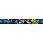 17-04-2012 - mp_management - Banner - Geiseltal Radio.gif